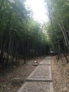 東吳國家森林公園