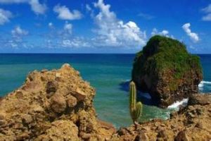 弗雷加特島 弗雷加特島