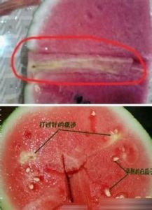 打針西瓜 打針西瓜