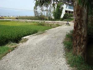 小石官屯自然村通村道路
