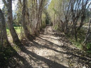 班洞河自然村 班洞河自然村