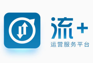 流+ 流+