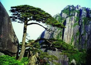 黃山世界地質公園