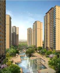 葵花公社 葵花公社