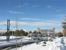 冬天的猶他大學