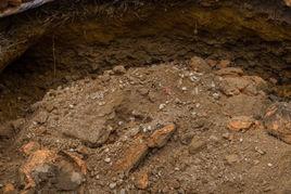 土質調查 土質調查