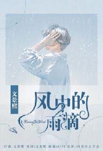 風中的雨滴 風中的雨滴