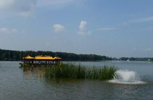 媯水河森林公園 媯水河森林公園