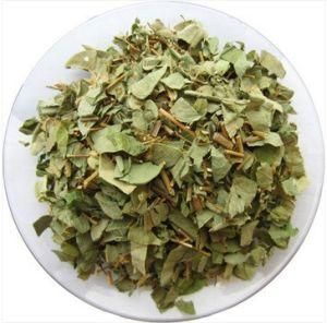 金錢草茶 金錢草茶