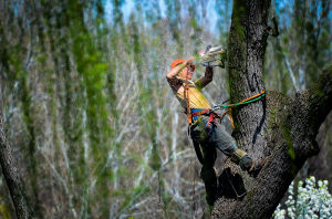 工作燃脂 工作燃脂