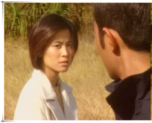 Detective Investigation Files IV