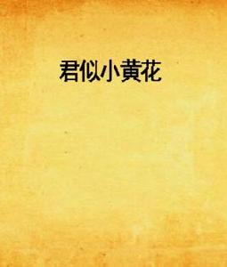 君似小黃花 君似小黃花