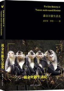 滇金絲猴生活史 滇金絲猴生活史