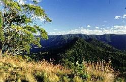 巴林頓山 巴林頓山