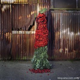 生態服裝 生態服裝