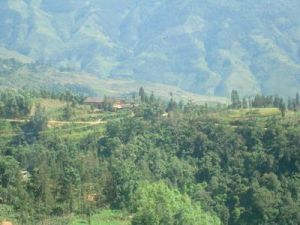 星期坪自然村 星期坪自然村