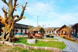 陽澄湖蓮花島 陽澄湖蓮花島