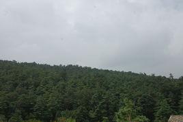 陡普魯村 陡普魯村