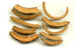 肝經風熱 肝經風熱