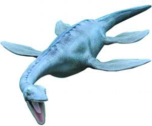 尼斯基水怪 尼斯基水怪