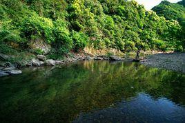 汀溪原始森林景區 汀溪原始森林景區