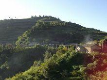 海口子村 海口子村