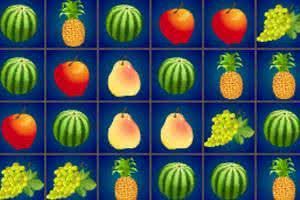 小球農場 小球農場