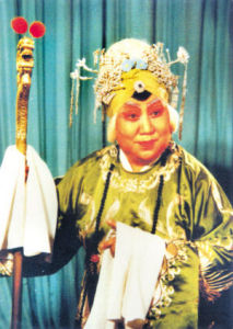 《楊八姐遊春》