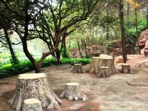 臨江仙·登凌歊台感懷