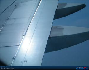 格尼襟翼 格尼襟翼