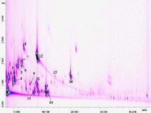 二維色譜 二維色譜