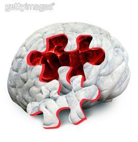 內臟器官分布拼圖 內臟器官分布拼圖