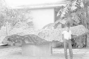 一名小男孩與巴庫比里托隕石合影留念