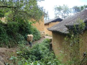 木瓜寨三家村 木瓜寨三家村