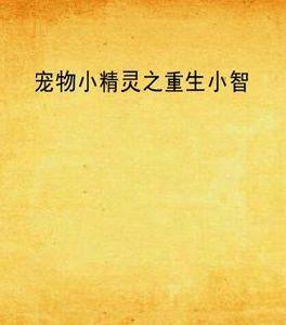 寵物小精靈之重生小智 寵物小精靈之重生小智
