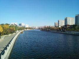 楊村[天津市武清區楊村鎮]