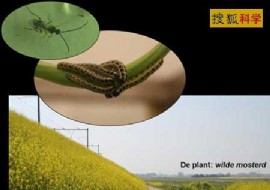 中國科學院昆明動物研究所