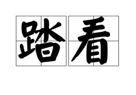 踏看 踏看