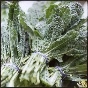 維生素B2缺乏病