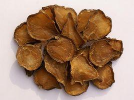 江油附子 江油附子