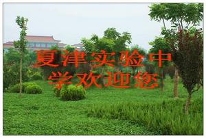 夏津實驗中學 夏津實驗中學