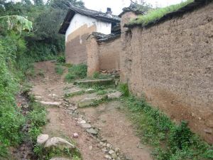 菜園子自然村 菜園子自然村