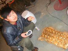 電視劇《卜案》