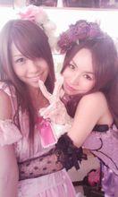 おしべとめしべと夜の蝶々