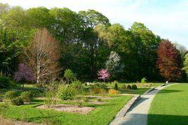 阿諾德植物園 阿諾德植物園