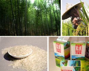 竹稻米