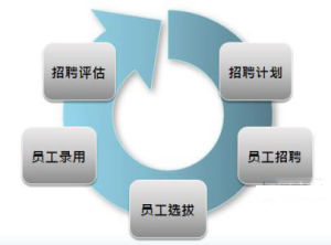 項目人力資源管理 項目人力資源管理