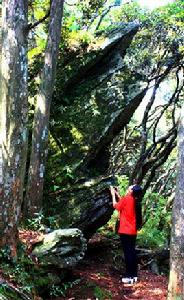 金蟾望月 金蟾望月