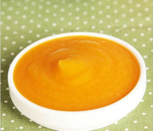 恆康天誠進口果泥