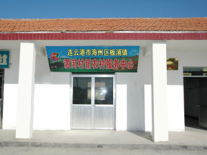 泗河村[江蘇省連雲港市海州區半鋪鎮]